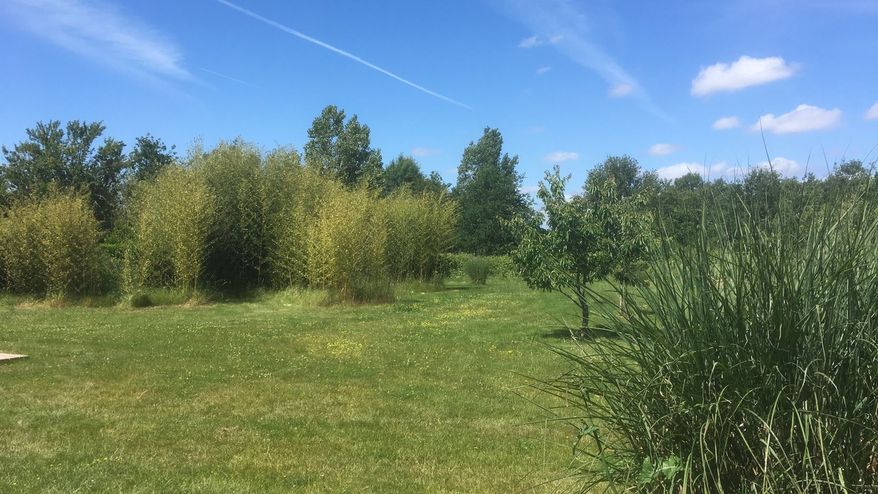 Photo of Outdoor in La Genetouze