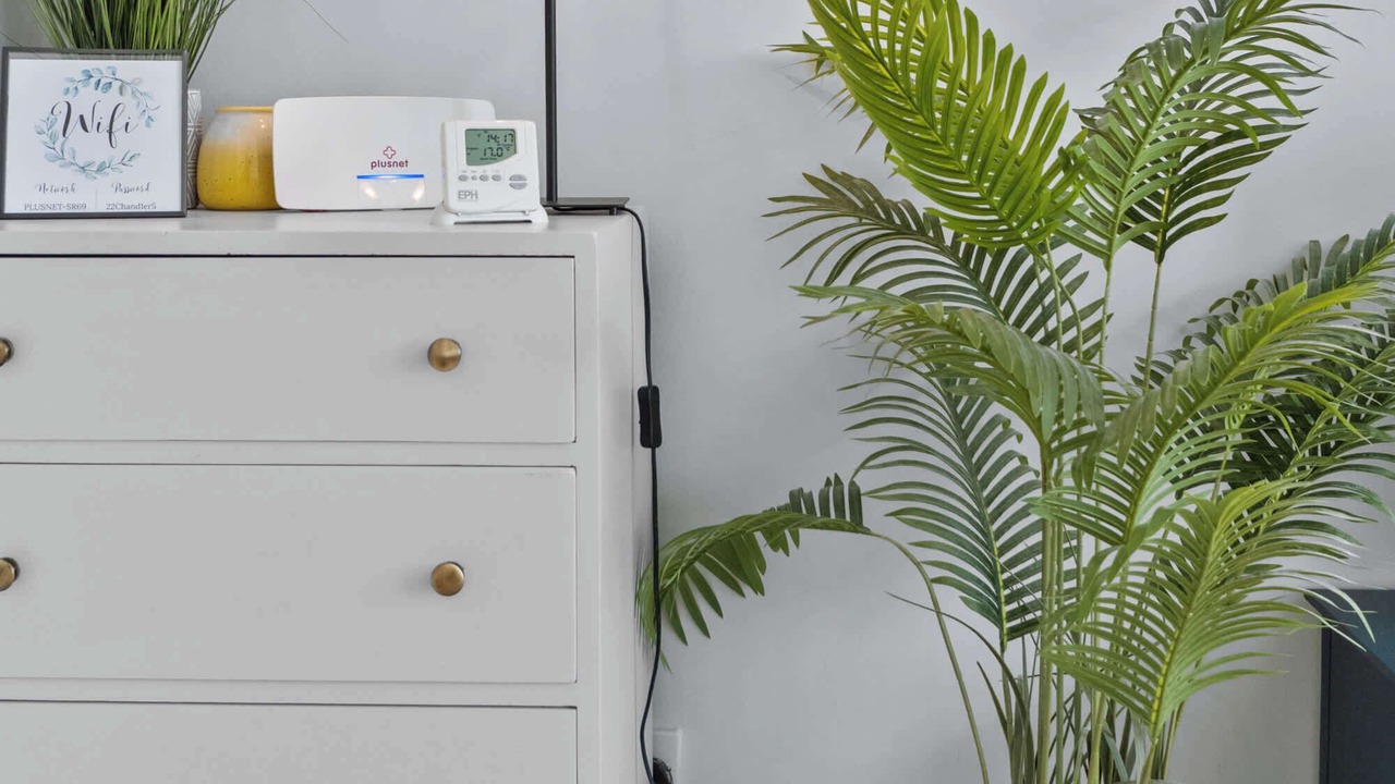 Photo of Others in Exeter