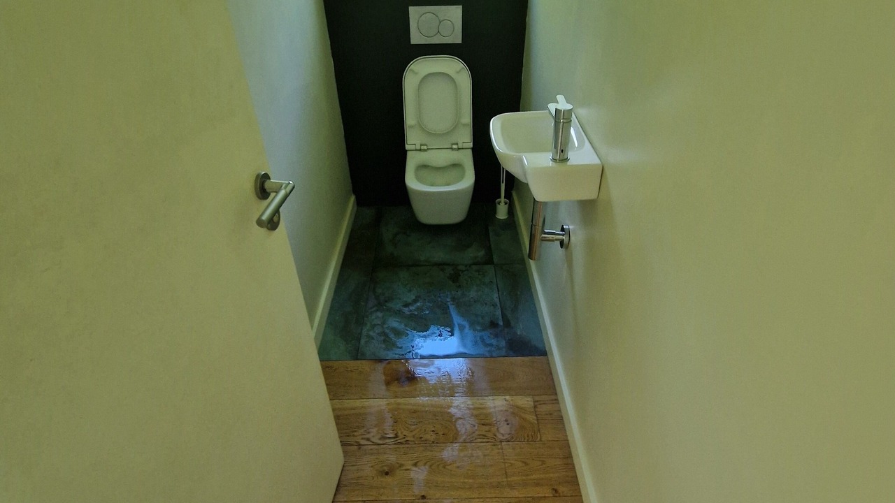 Photo of Bathroom in Gragnague