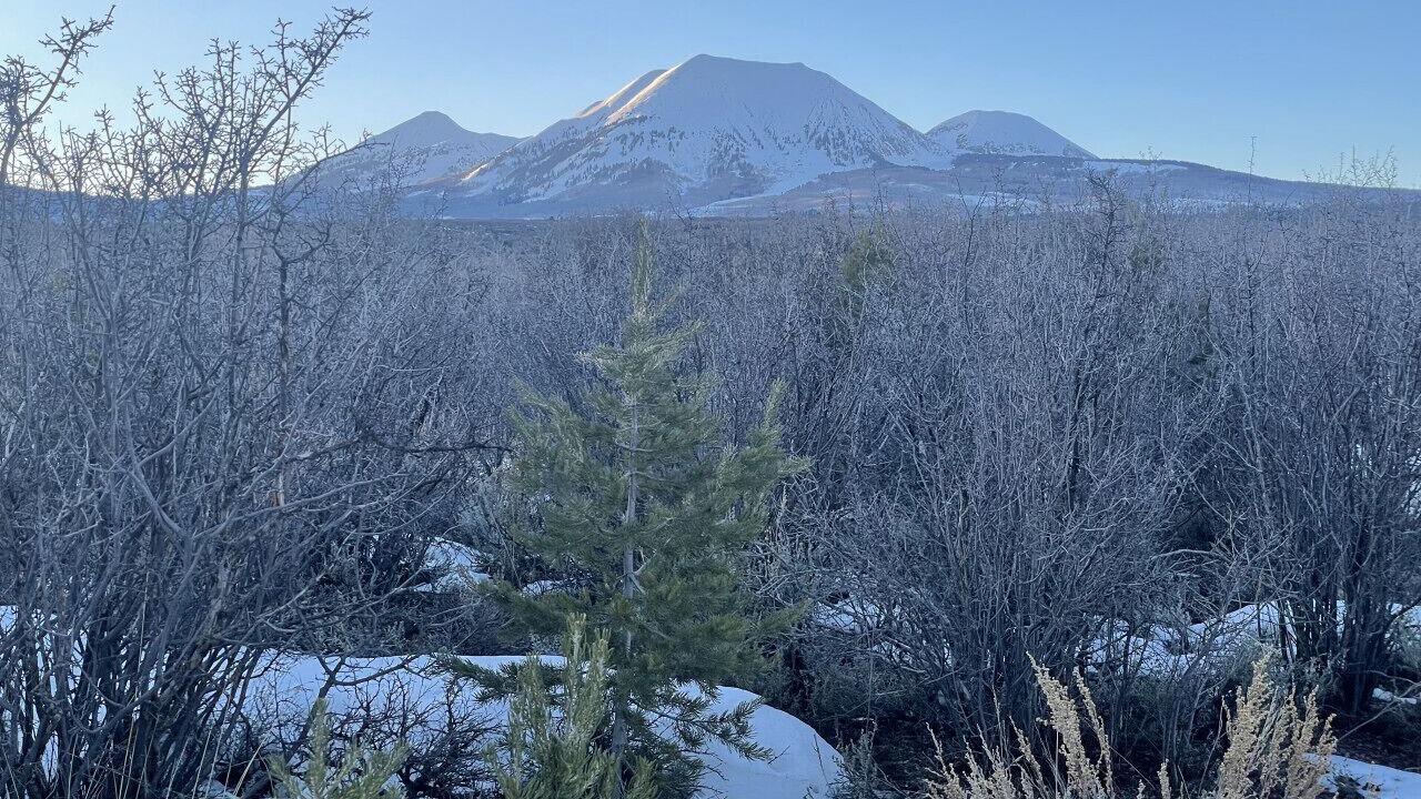 Photo of Others in La Sal
