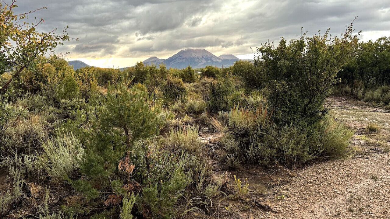 Photo of Others in La Sal