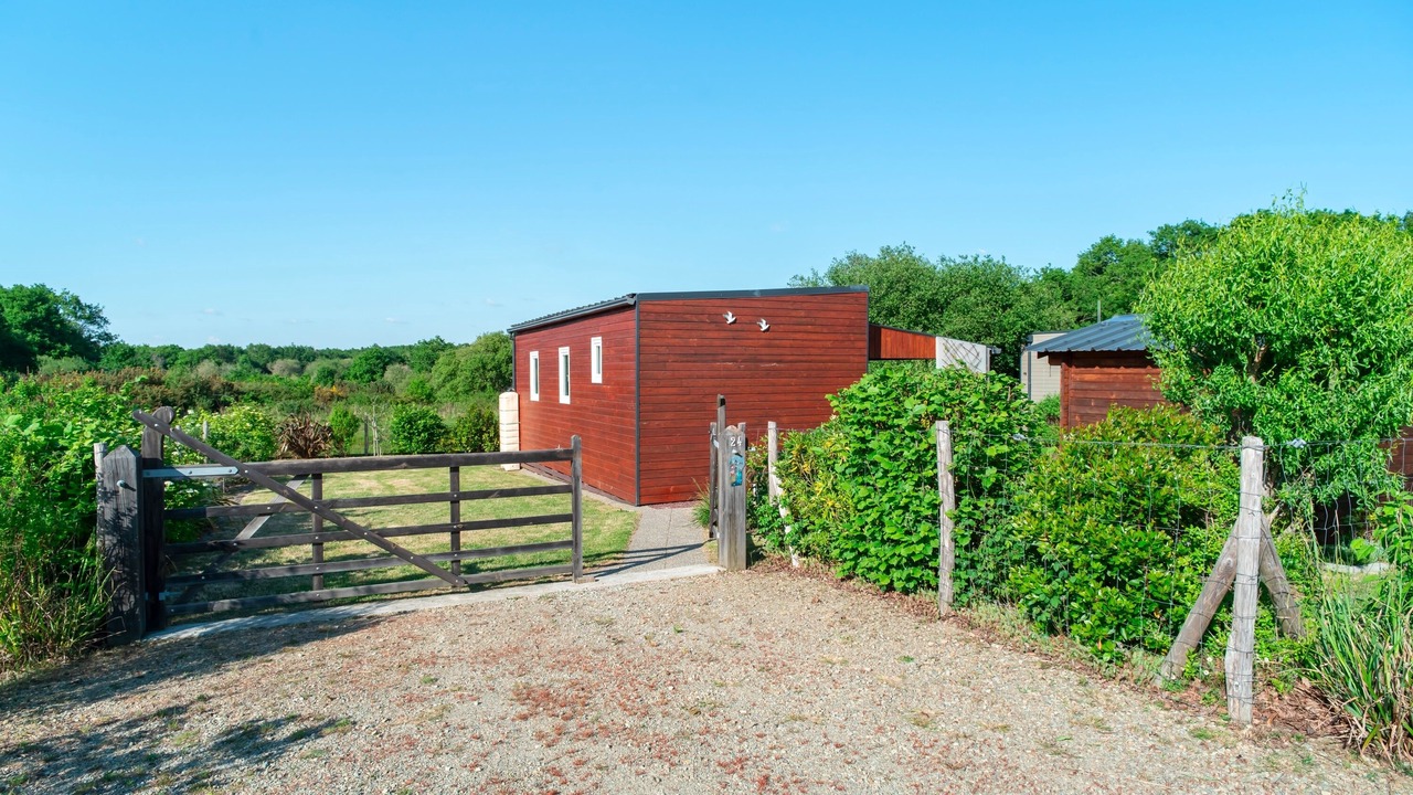 Photo of Outdoor in Penvins