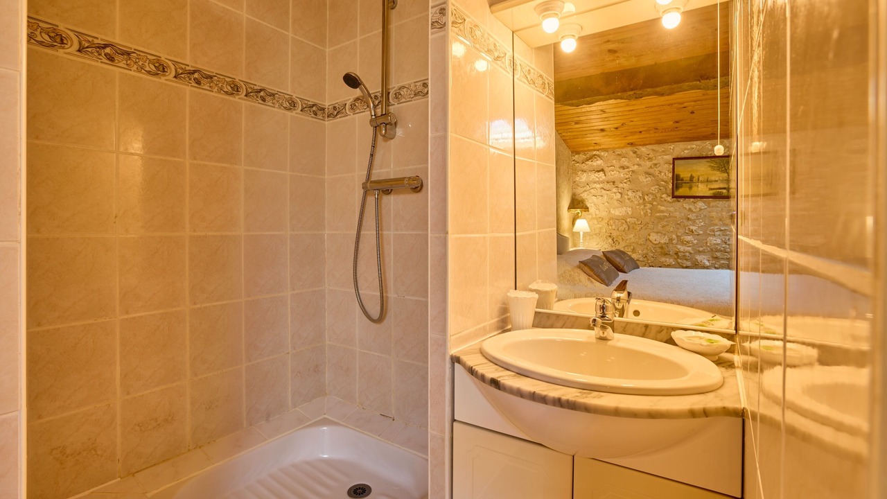 Photo of Bathroom in Thenac