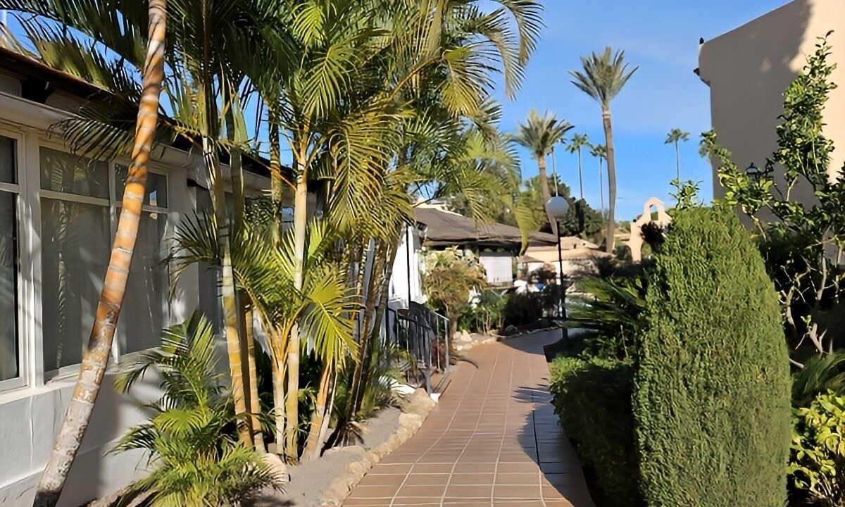 Photo of Outdoor in El Faro