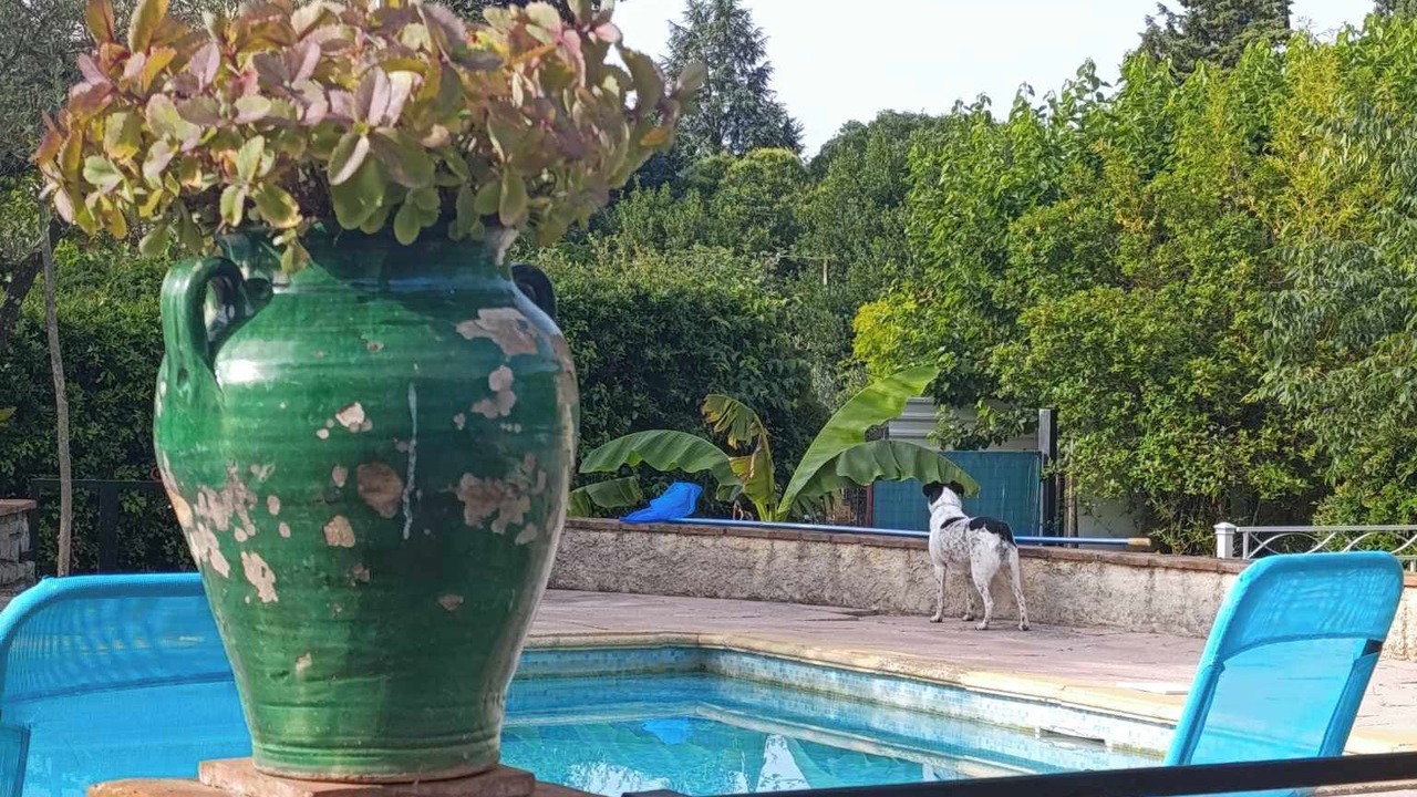 Photo of Outdoor in Tornac
