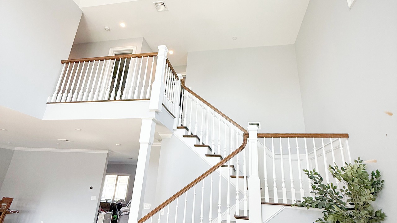 Photo of Others in Seaford