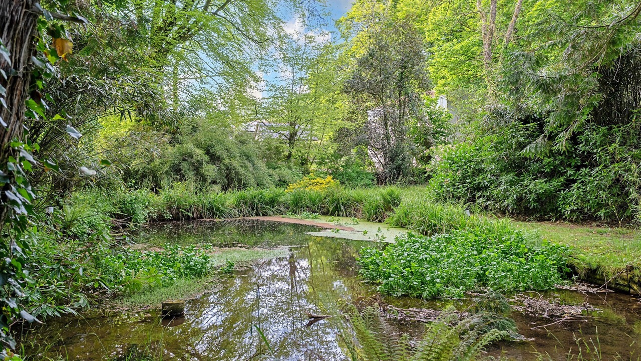 Photo of Outdoor in St Teath