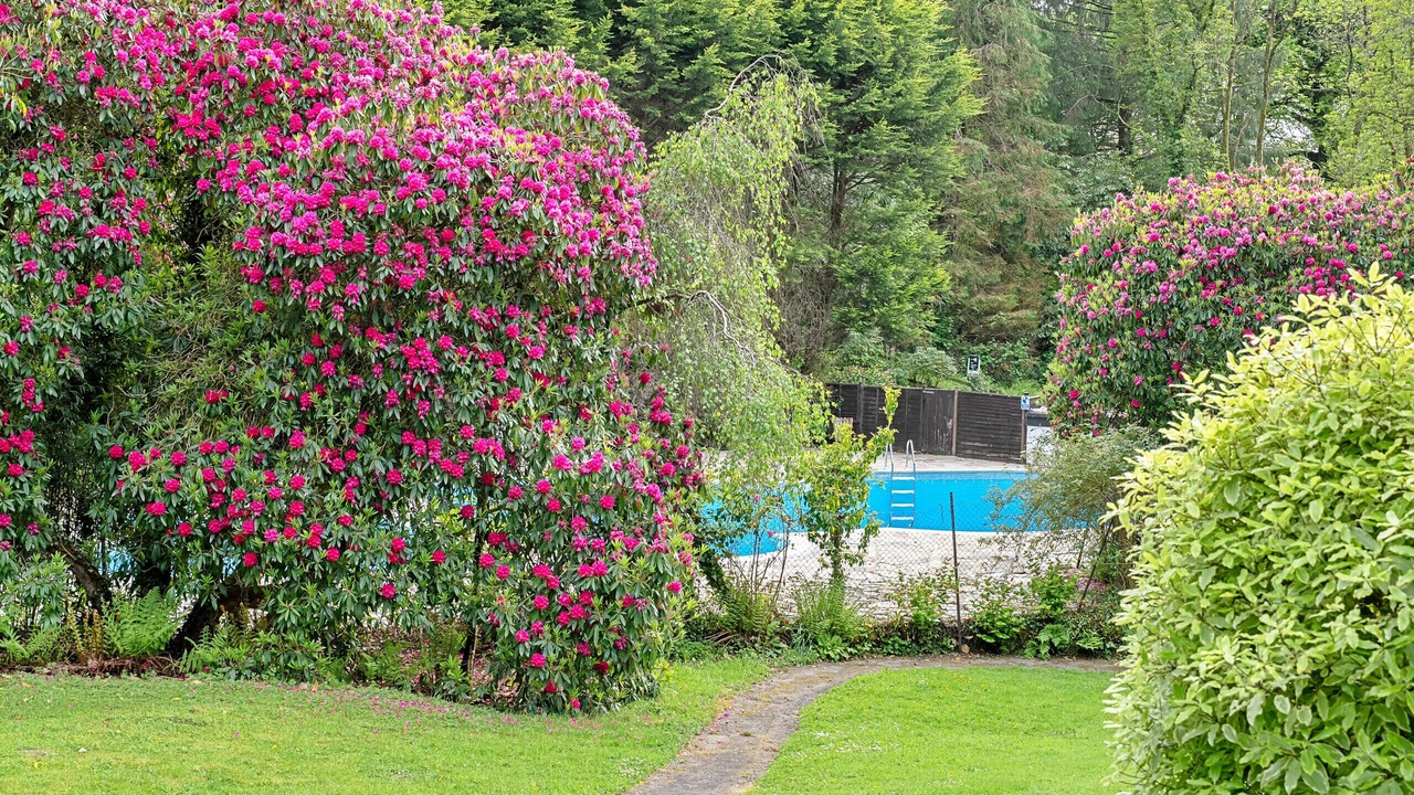 Photo of Outdoor in St Teath