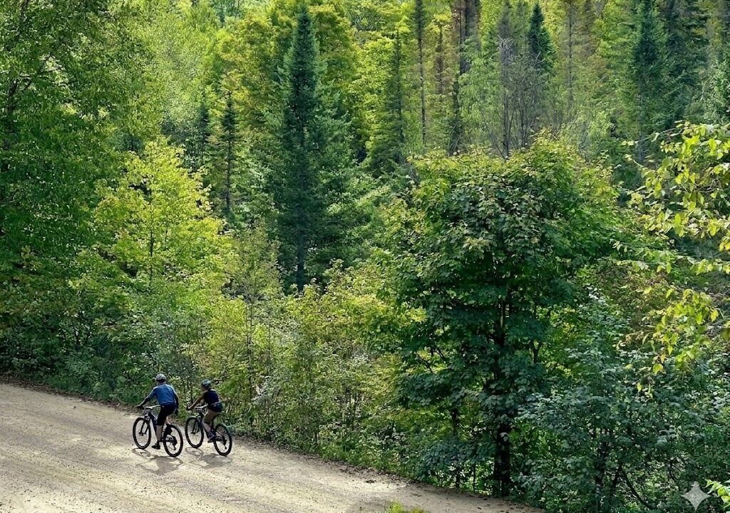 Photo of Others in Saint-Raymond