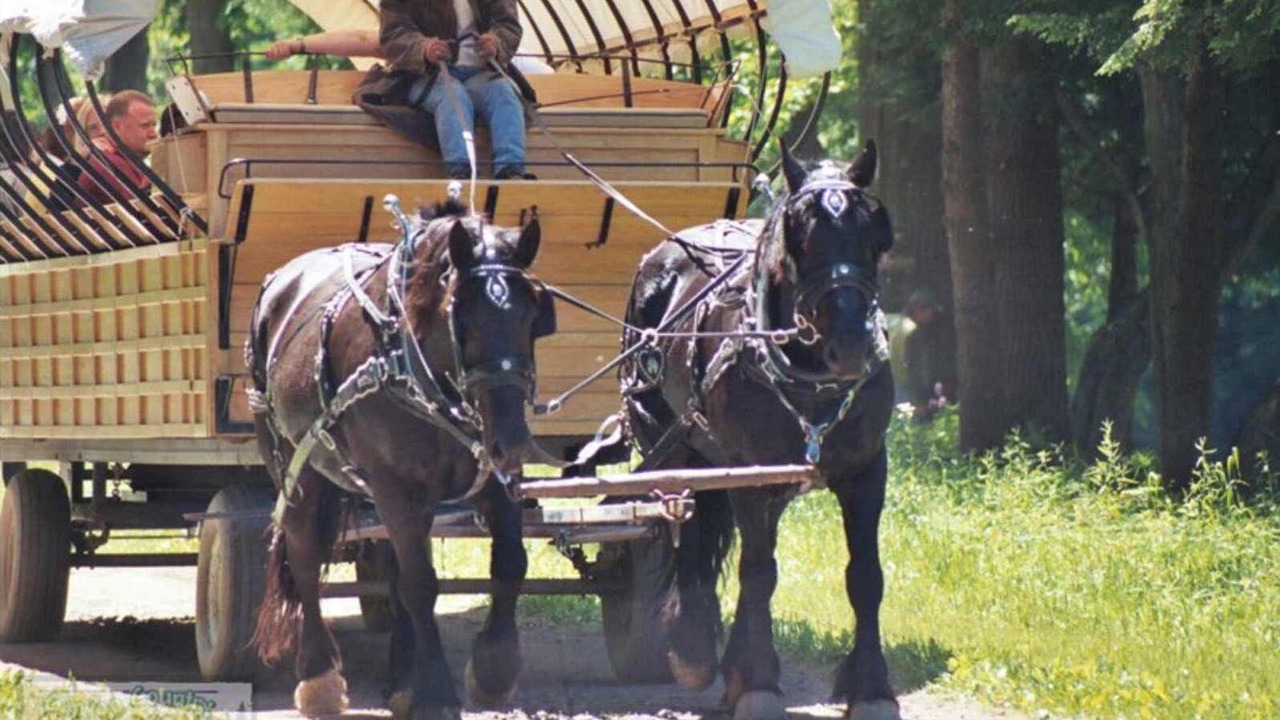 Photo of Others in Wellsboro