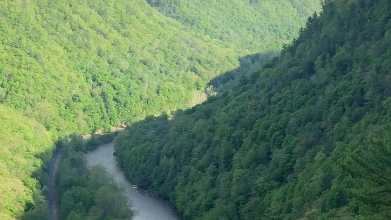 Photo of Others in Wellsboro