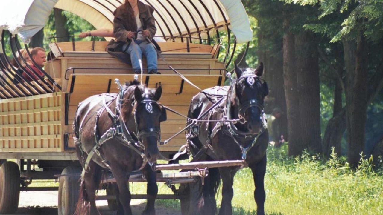 Photo of Others in Wellsboro