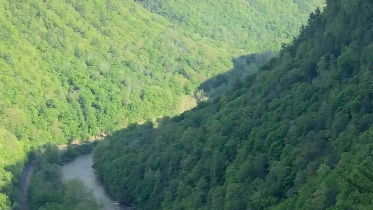 Photo of Others in Wellsboro