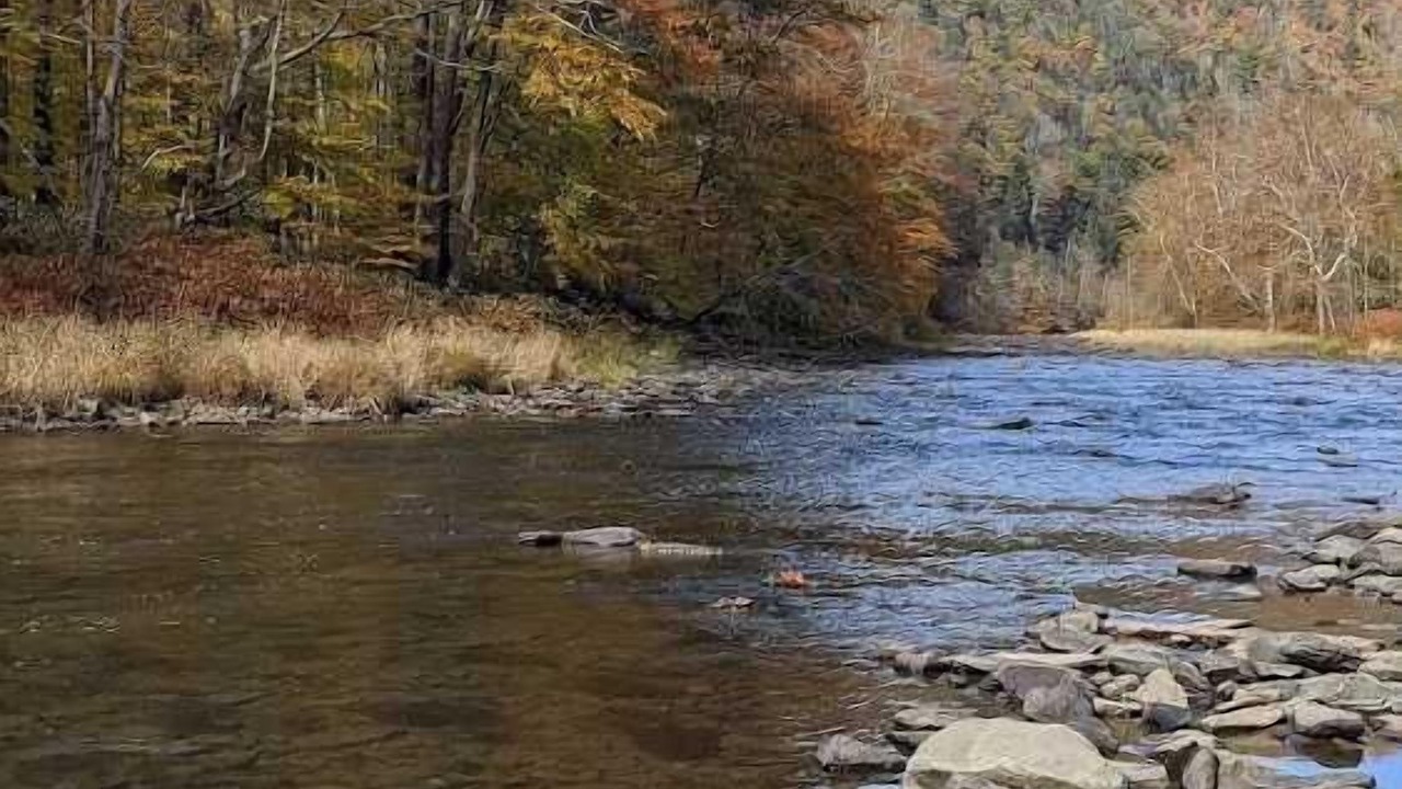 Photo of Others in Wellsboro