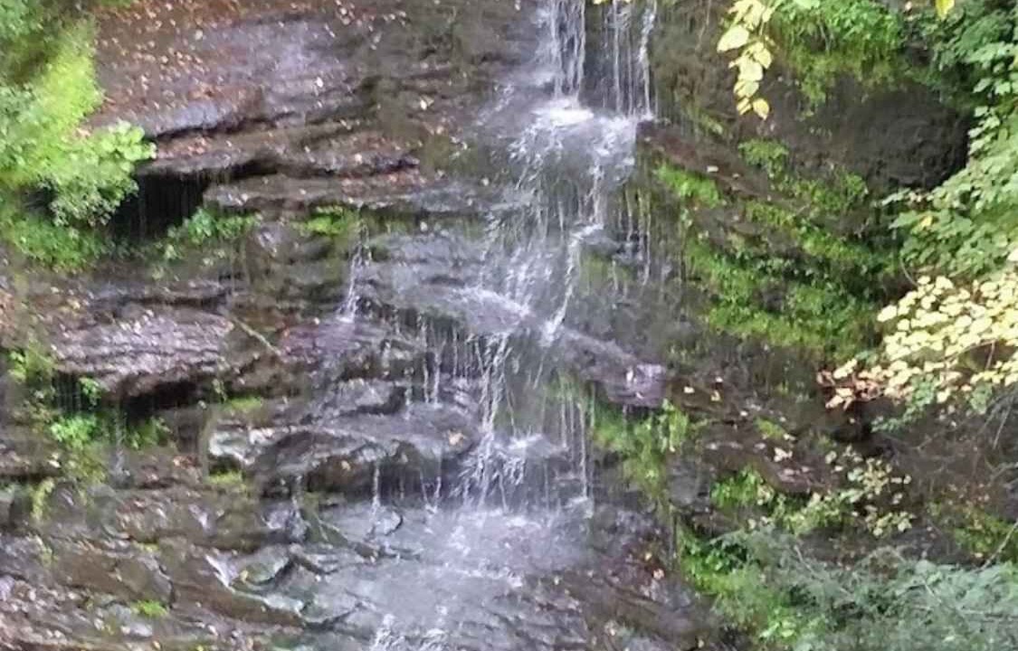 Photo of Others in Wellsboro