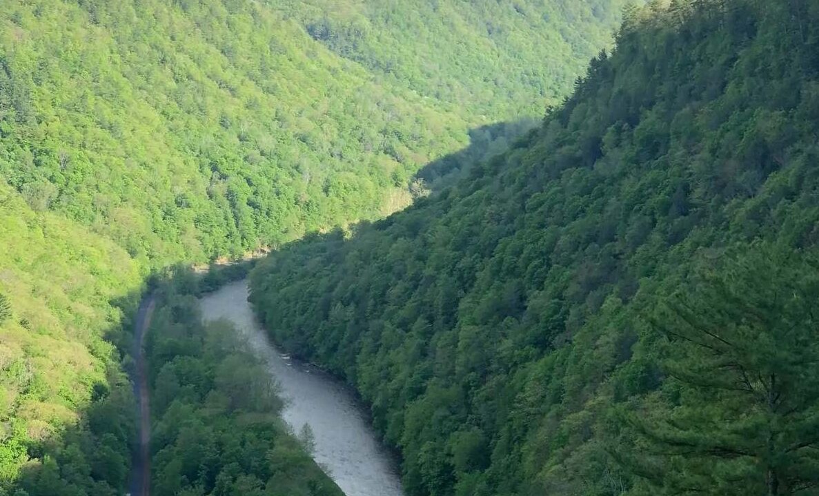 Photo of Others in Wellsboro
