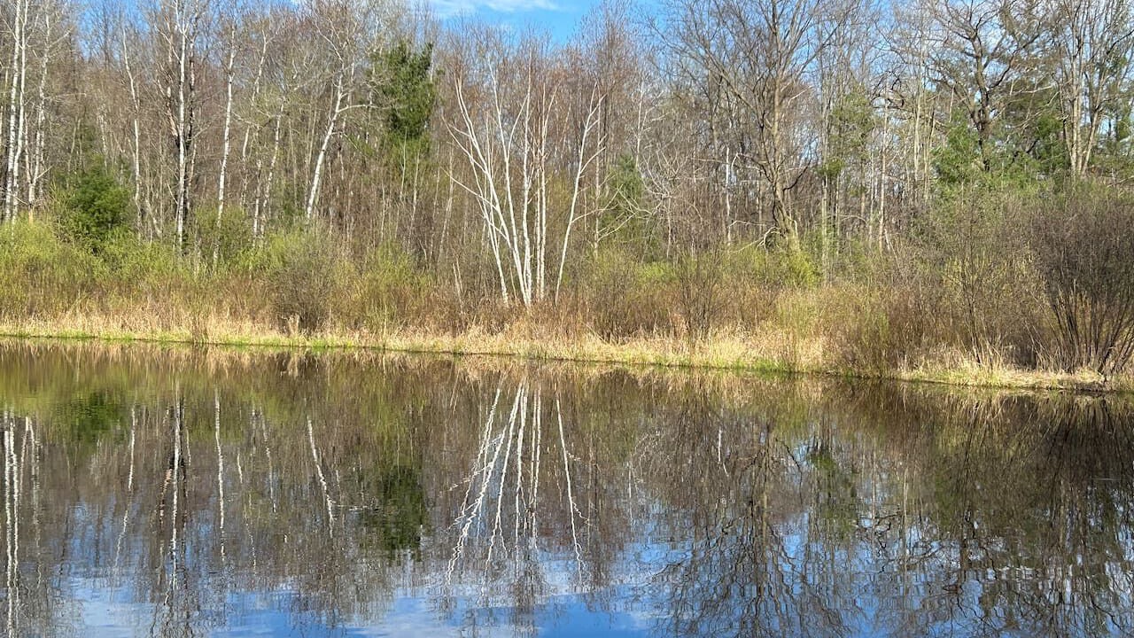 Photo of Others in Pine City