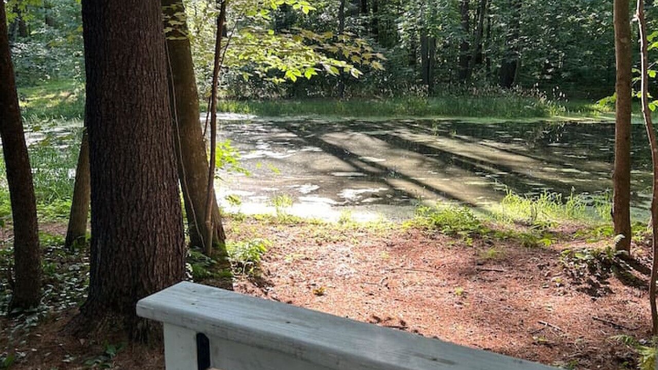 Photo of Outdoor in Pine City