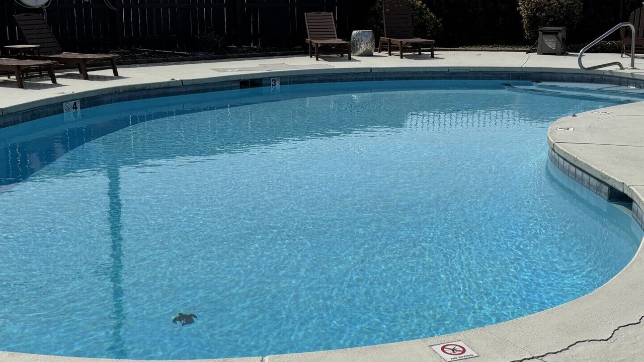 Photo of Outdoor in Lake Hamilton