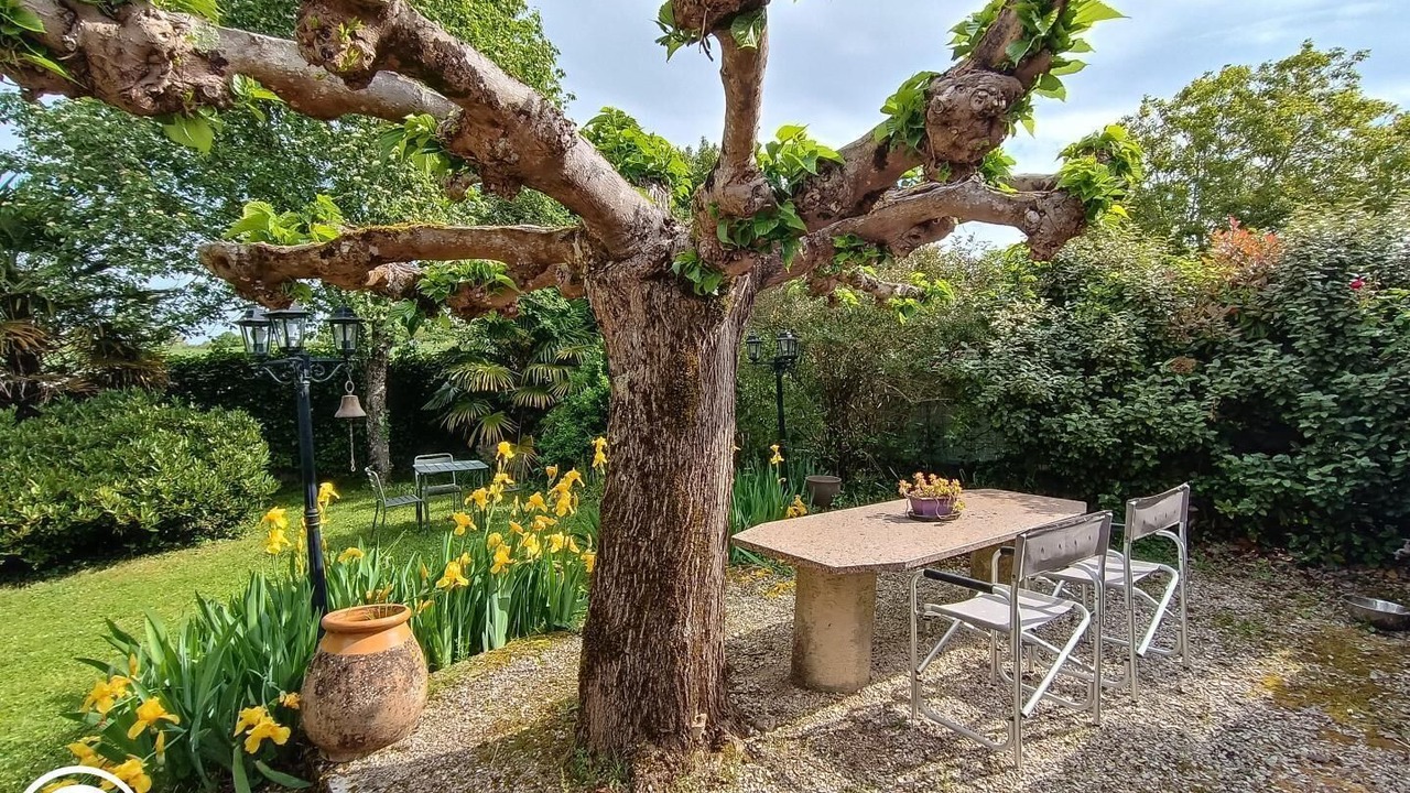 Photo of Outdoor in Castelnau-Montratier-Sainte-Alauzie