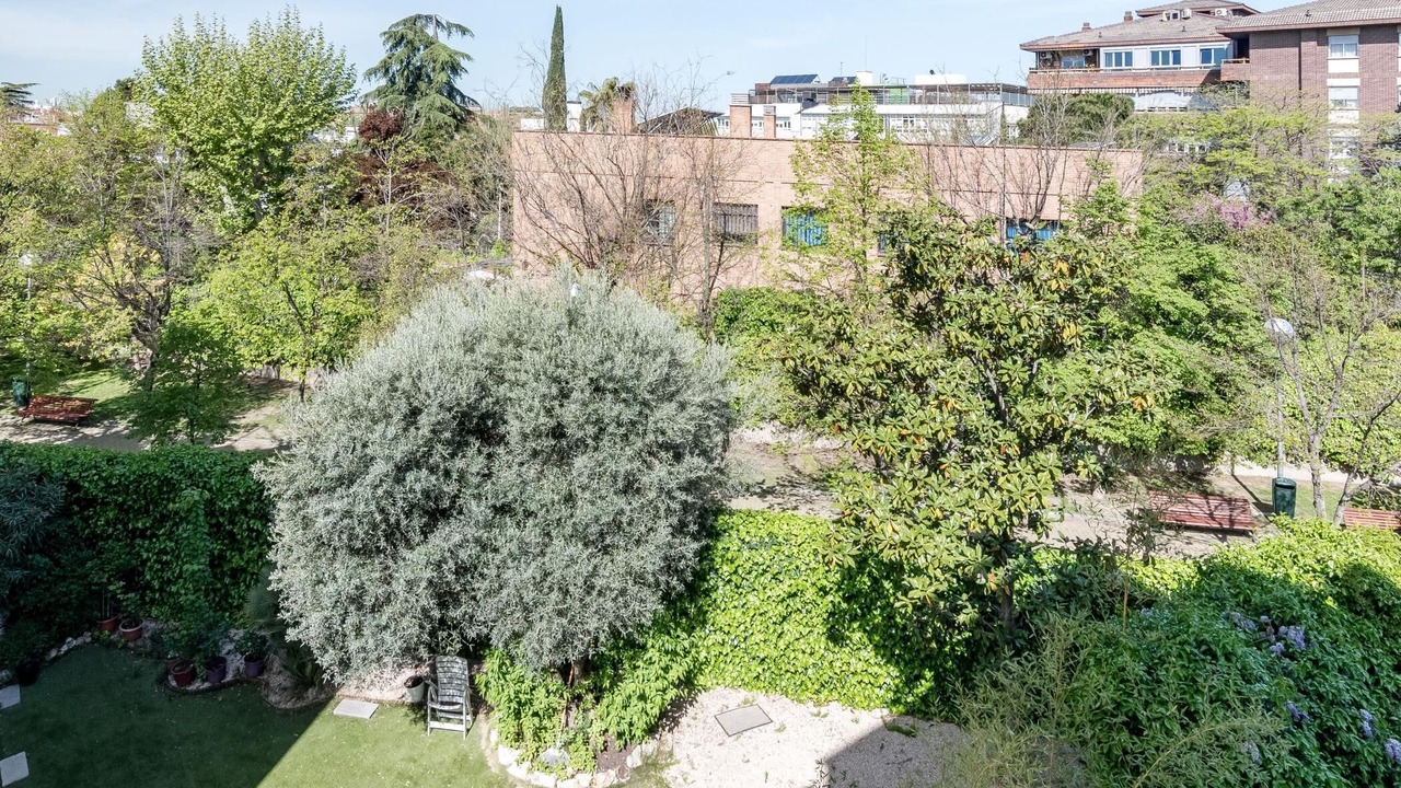 Photo of Outdoor in Ciudad Lineal