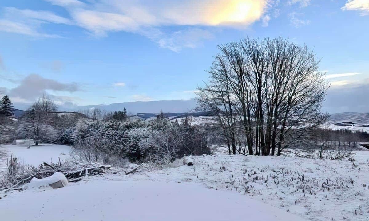 Photo of Others in Beattock