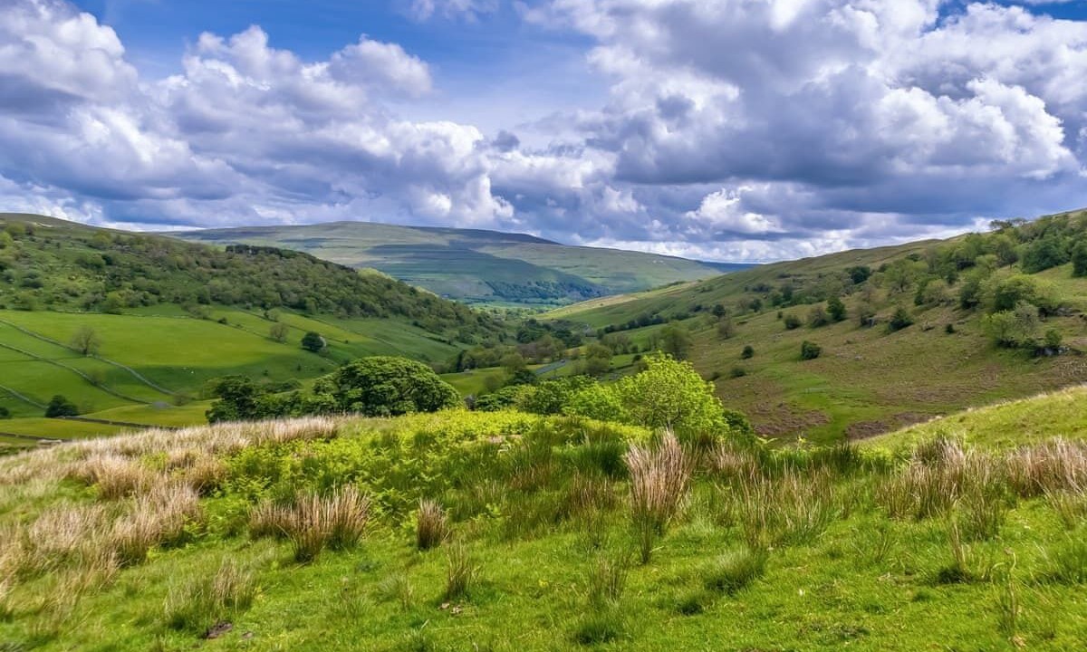 Photo of Others in Beattock