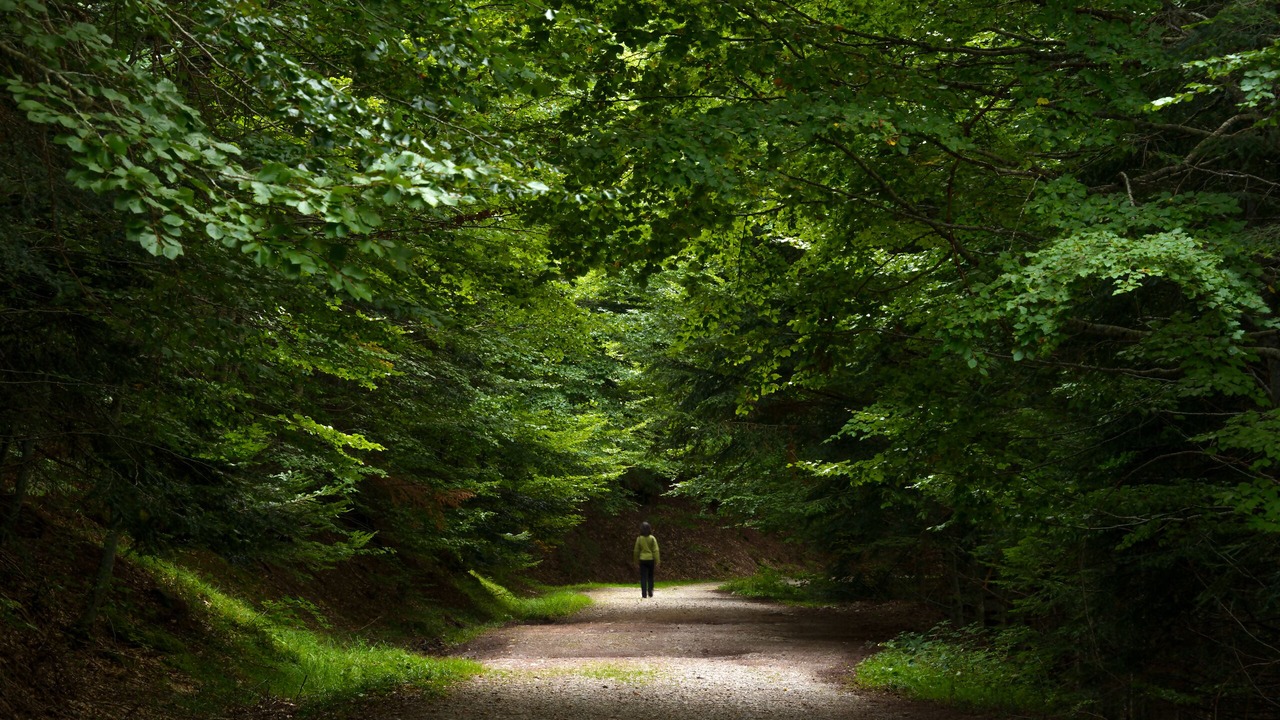 Photo of Others in Panticosa