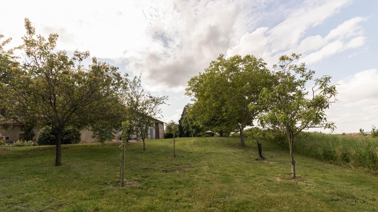 Photo of Outdoor in Donneville