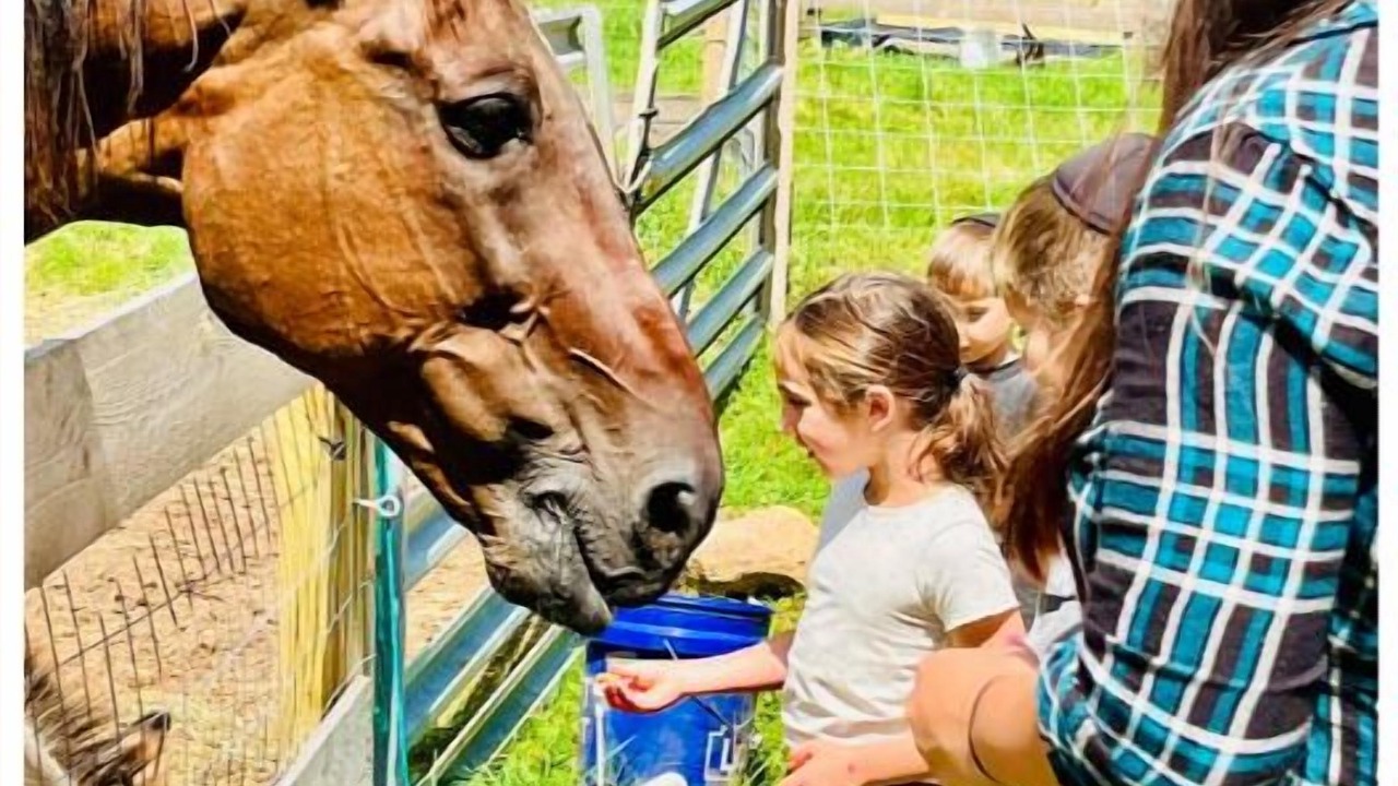 Photo of Others in Mountain Dale