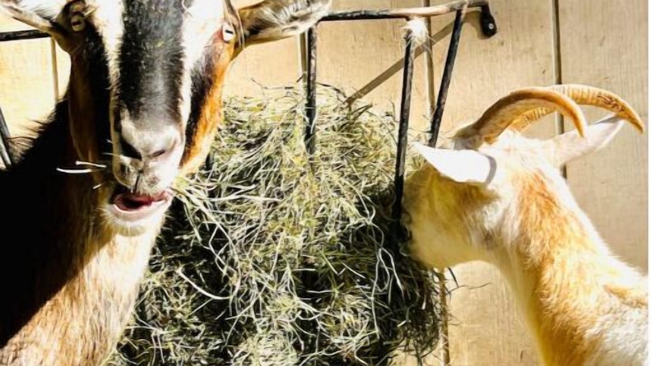 Photo of Others in Mountain Dale