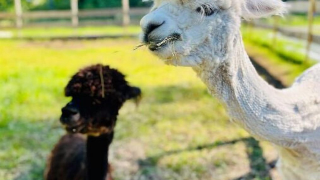 Photo of Others in Mountain Dale