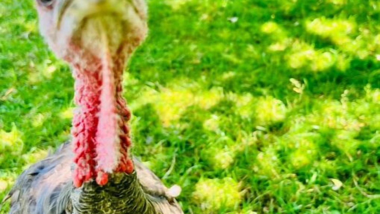 Photo of Others in Mountain Dale