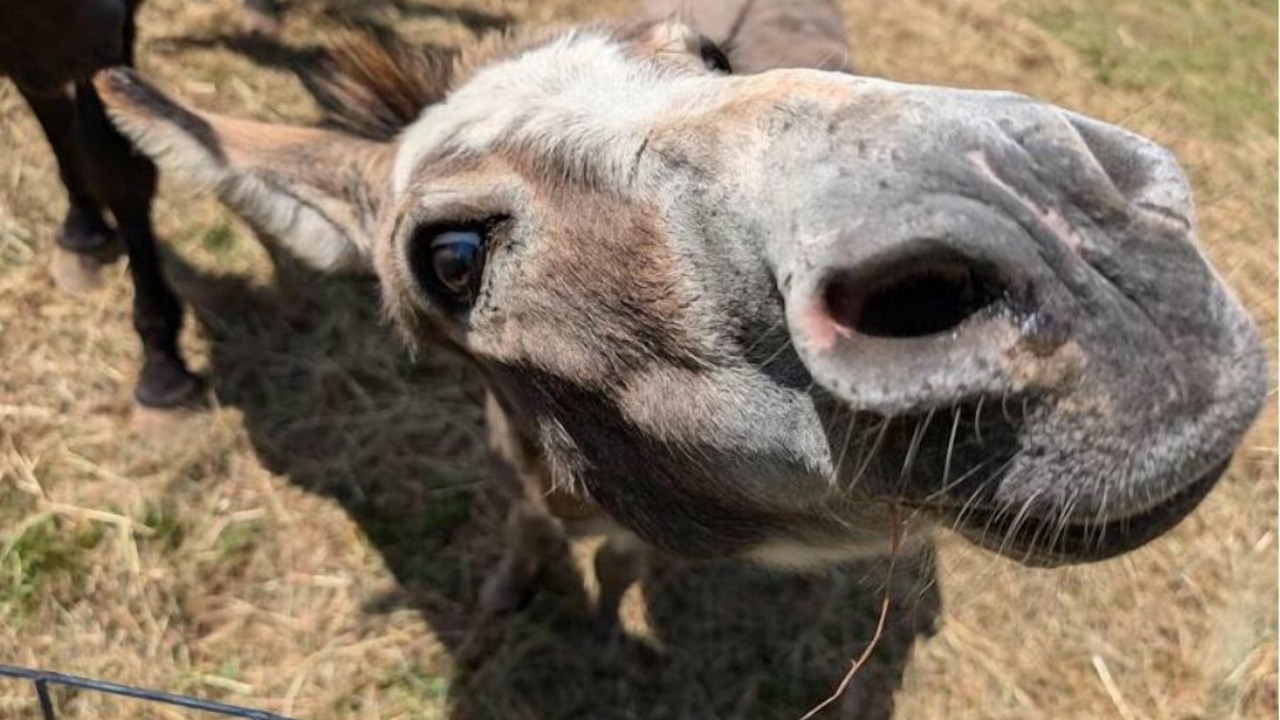 Photo of Others in Mountain Dale