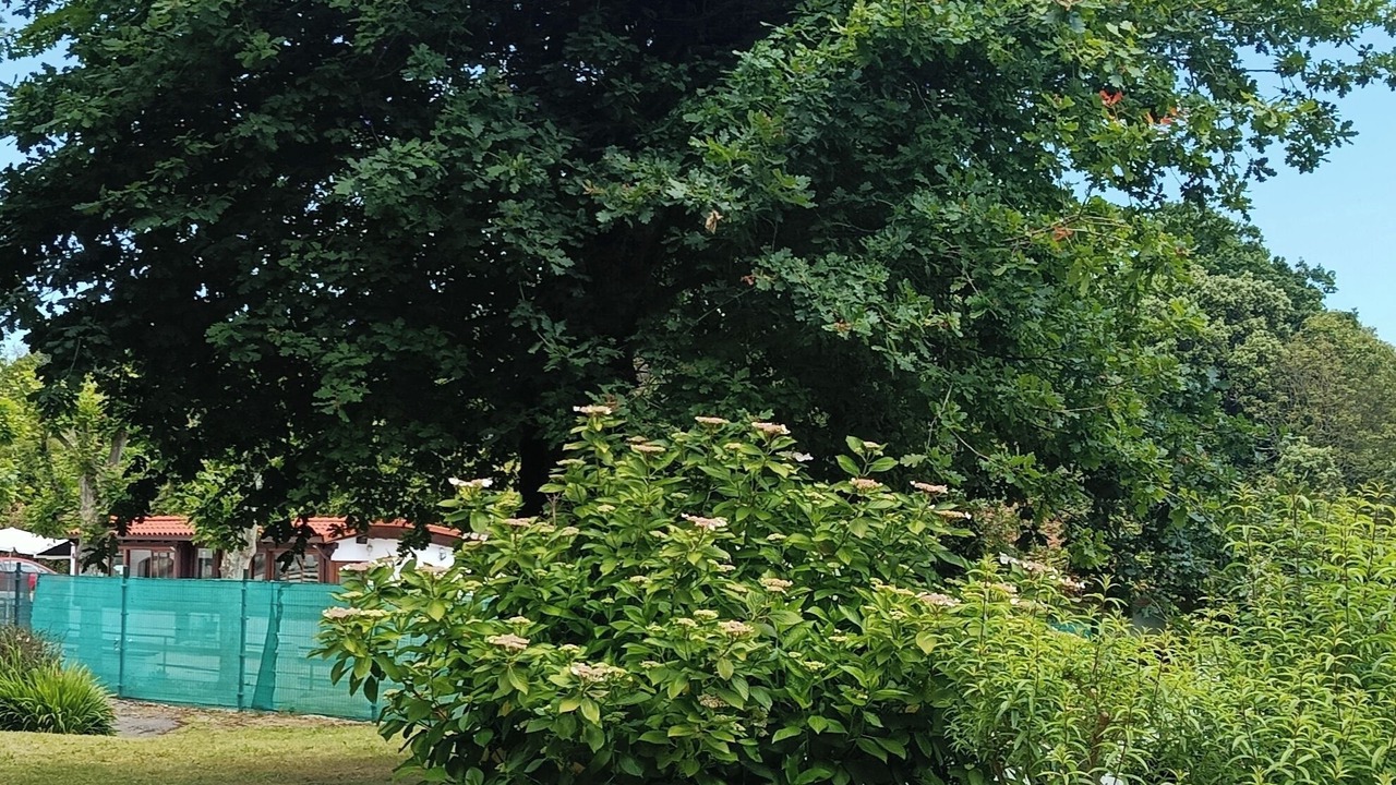 Photo of Outdoor in Villanueva