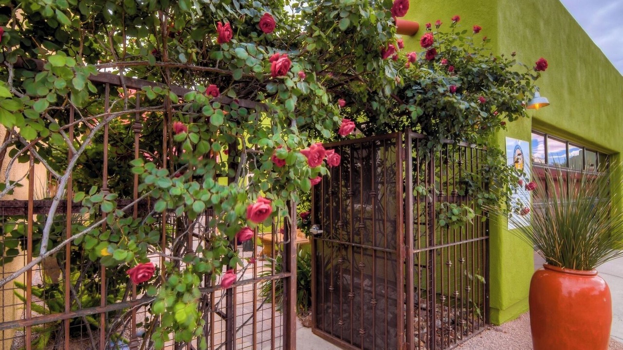 Photo of Outdoor in Civano