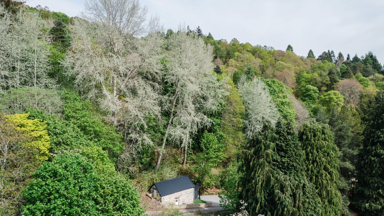 Photo of Others in Drumnadrochit