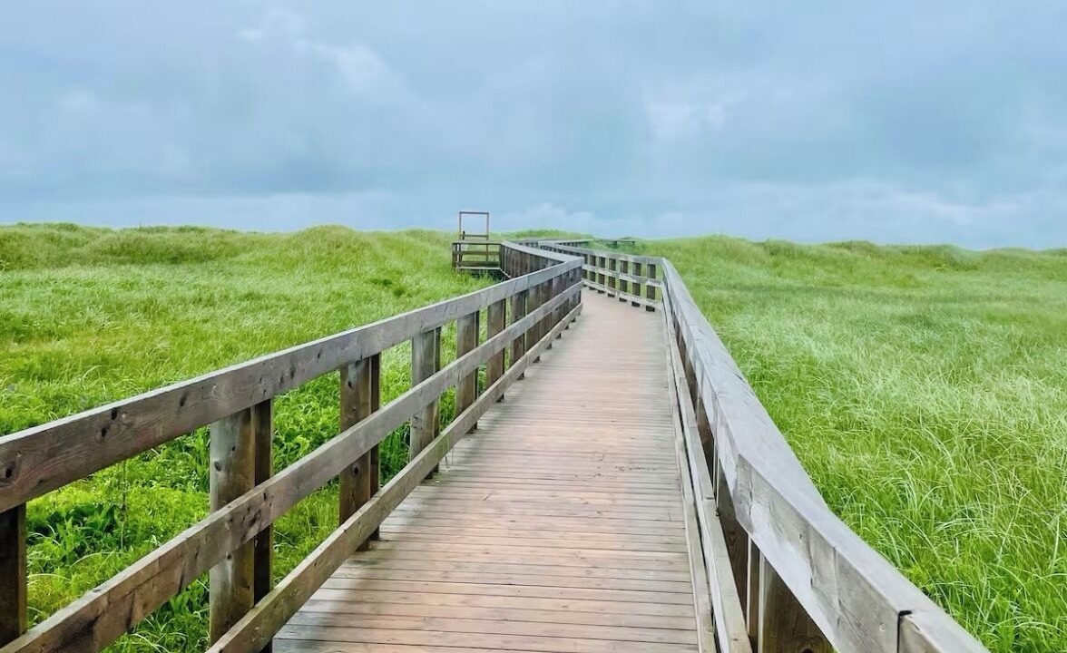 Photo of Others in Lawrencetown