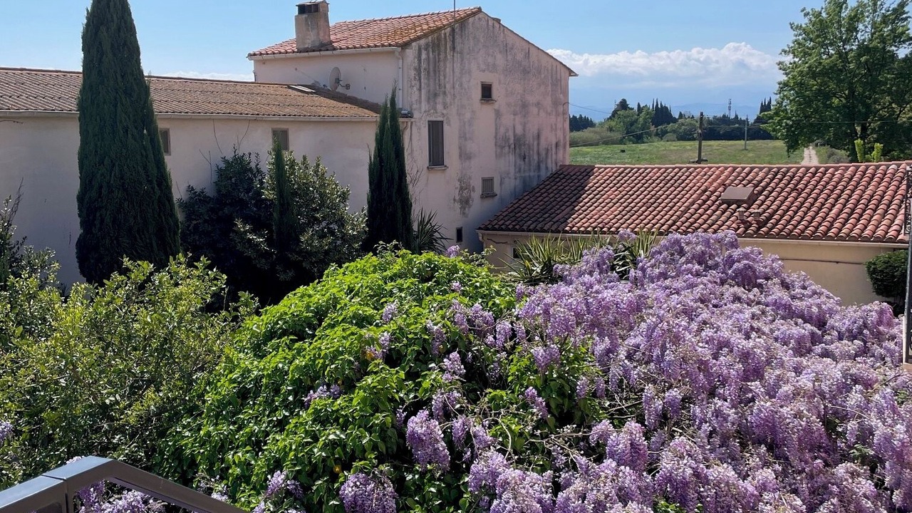 Photo of Outdoor in Saint-Esteve