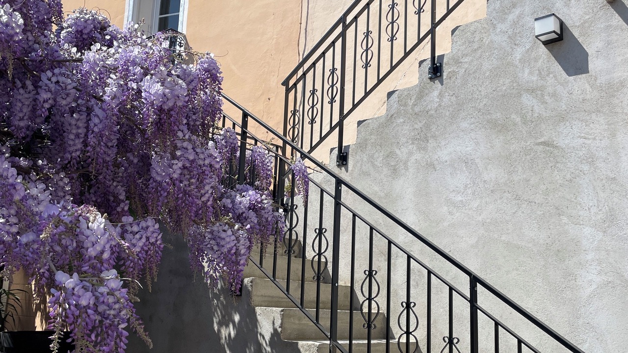 Photo of Outdoor in Saint-Esteve