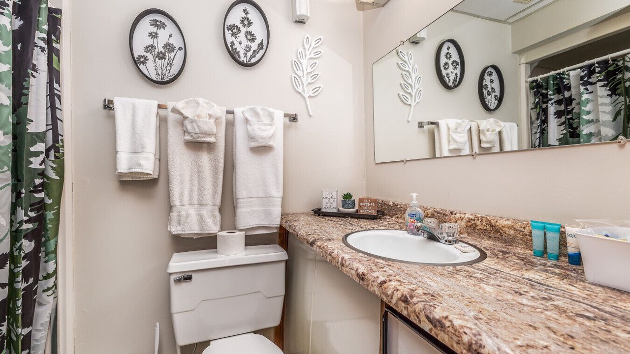 Photo of Bathroom in Apple River