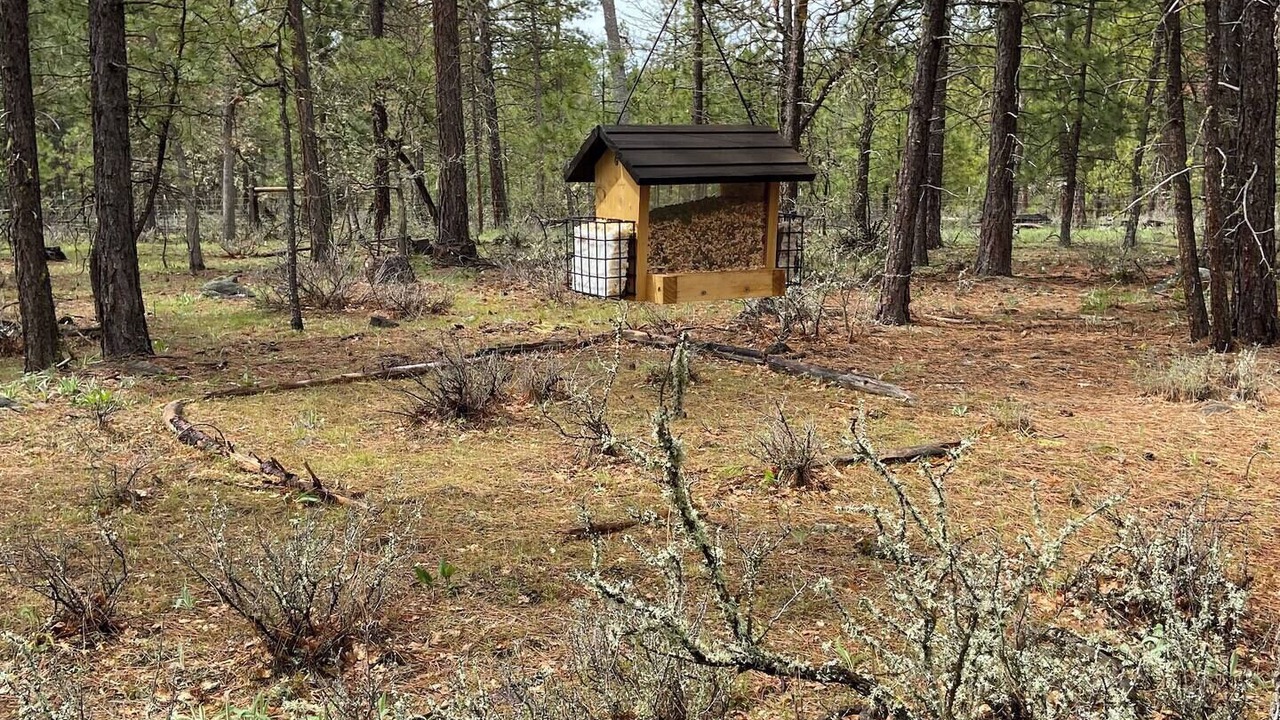 Photo of Outdoor in Goldendale