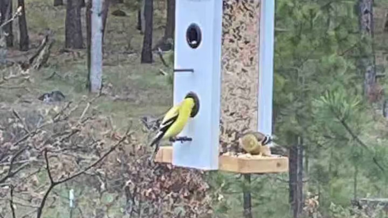 Photo of Others in Goldendale