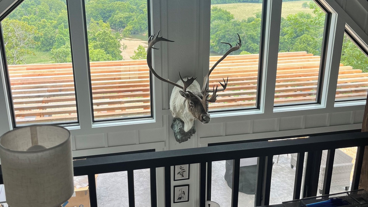 Photo of Others in Steelville