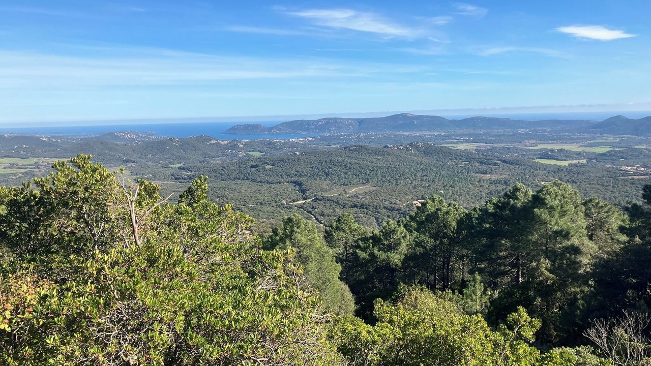 Photo of Others in Porto-Vecchio