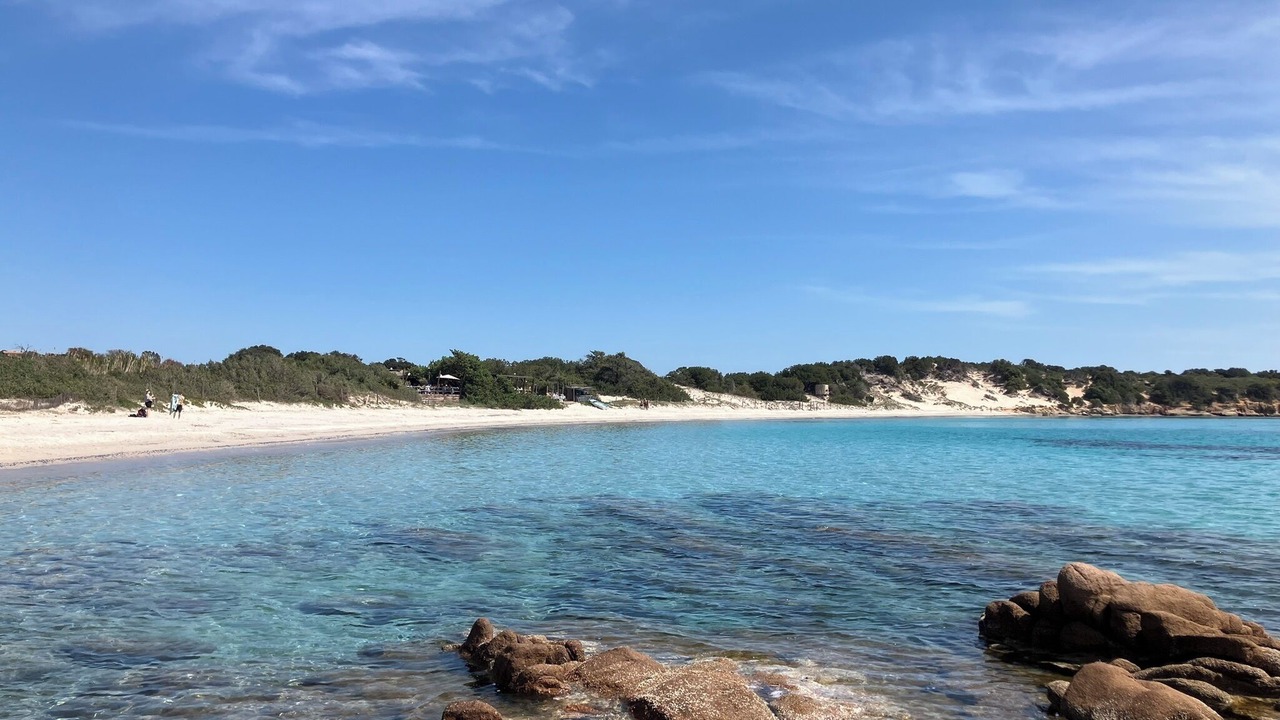 Photo of Others in Porto-Vecchio