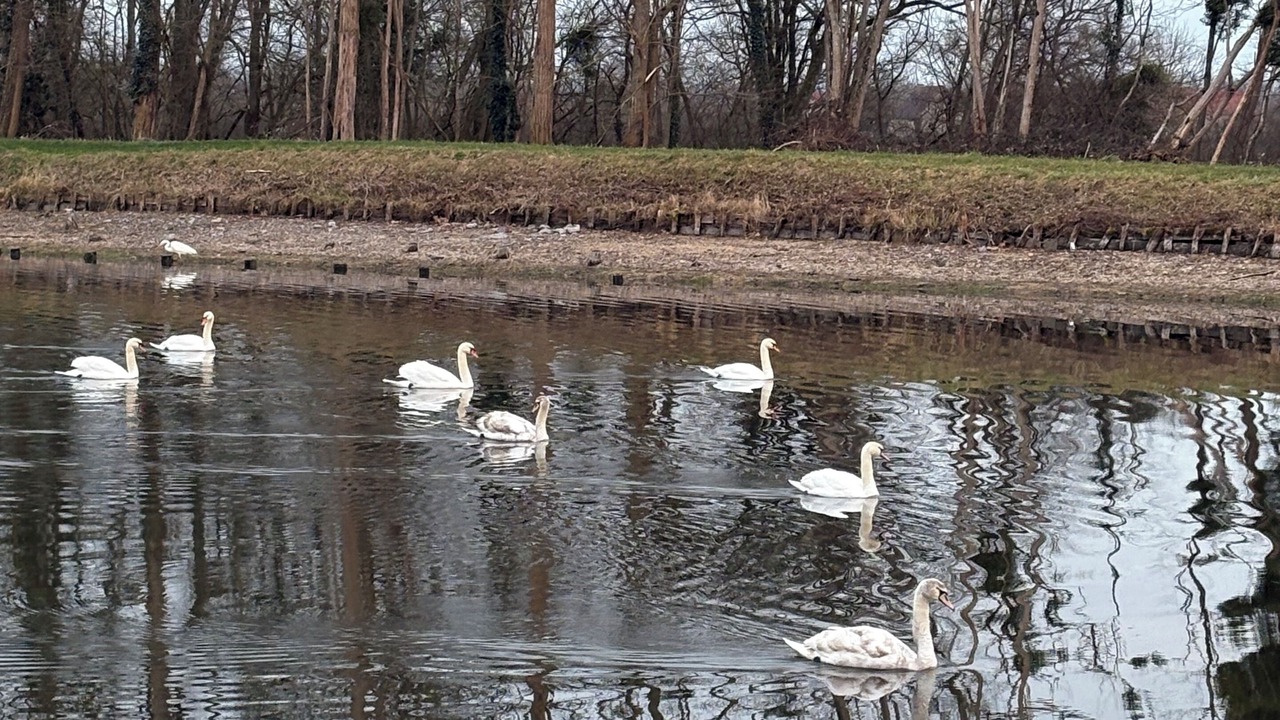 Photo of Others in Digoin