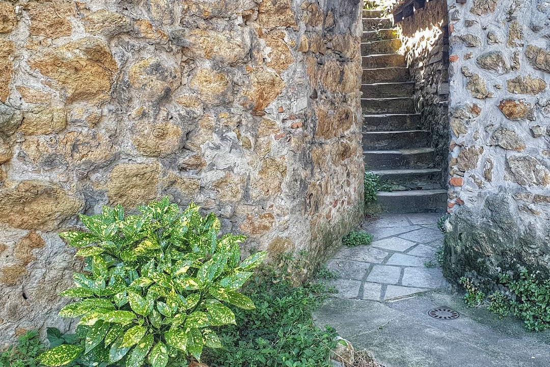 Photo of Outdoor in Vienne