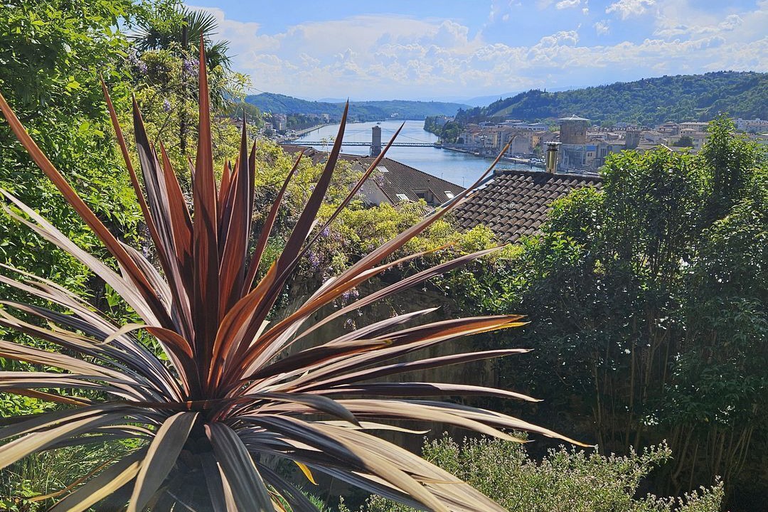 Photo of Outdoor in Vienne