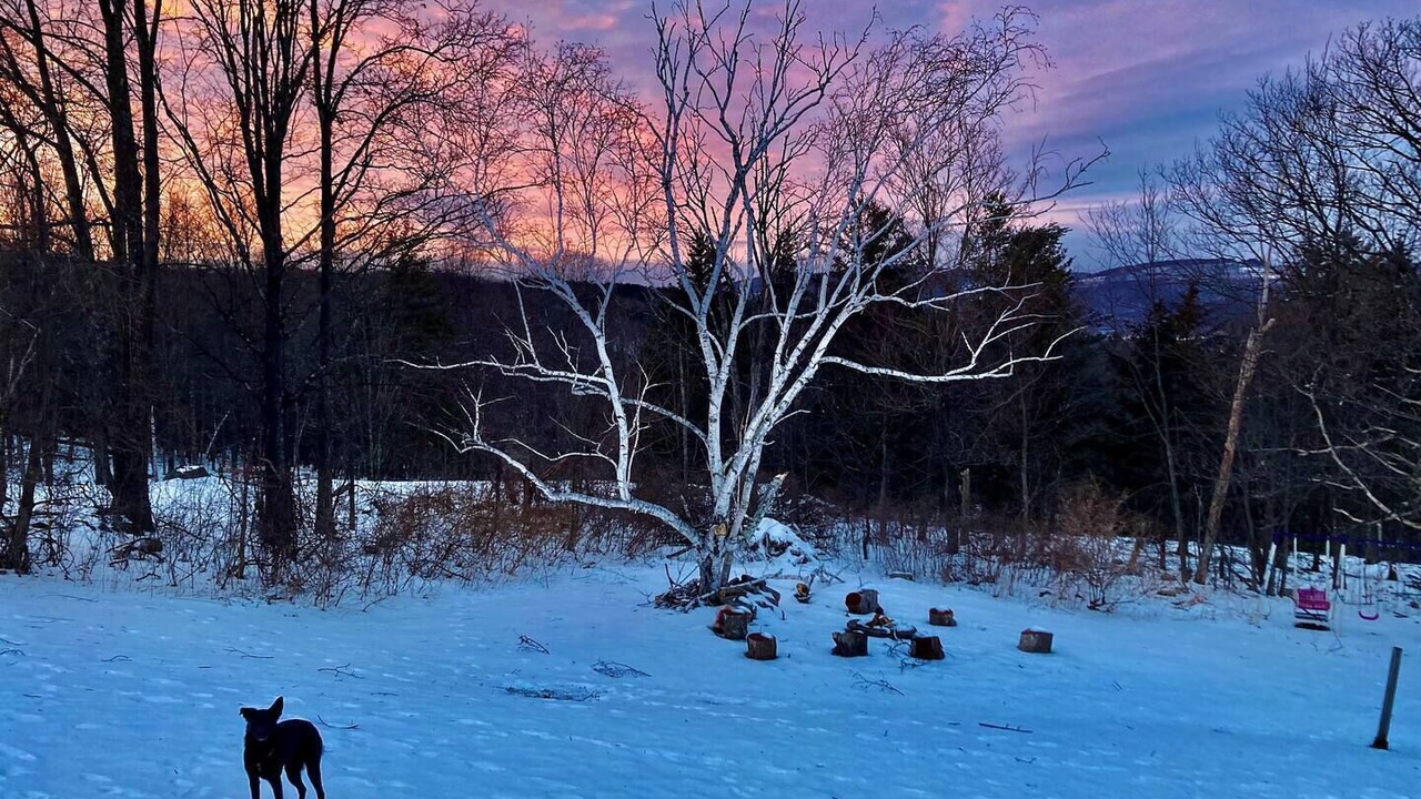 Photo of Others in Durham